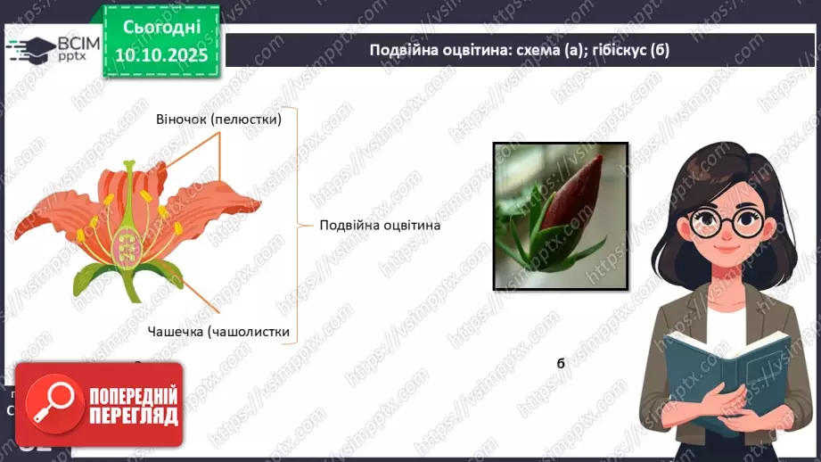 №024 - Покритонасінні рослини: квітка та плід. Значення в екосистемах.11 №024 - Покритонасінні рослини: квітка та плід. Значення в екосистемах.11
