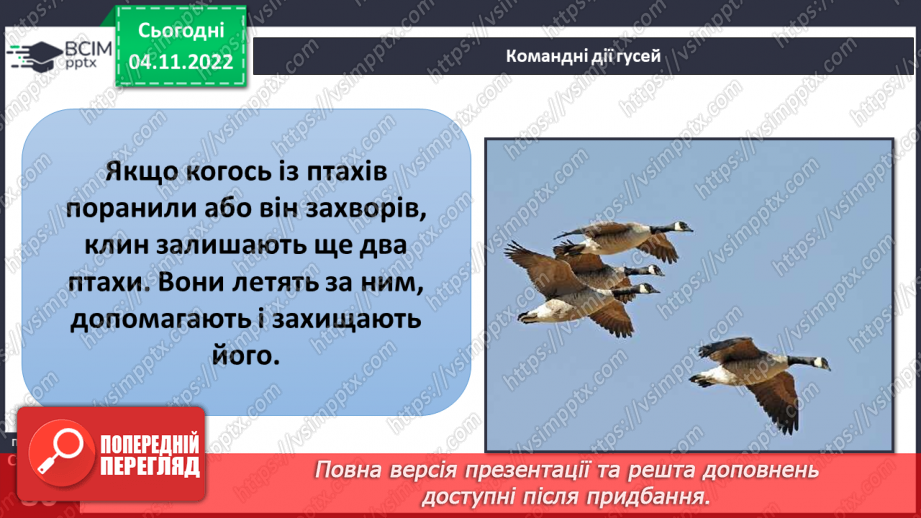 №12 - Командна робота. Переваги роботи в командній роботі. Дружній клас9