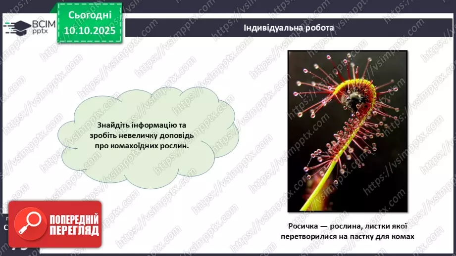 №023 - Покритонасінні рослини: будова бруньки, пагона й листка (продовження).22 №023 - Покритонасінні рослини: будова бруньки, пагона й листка (продовження).22