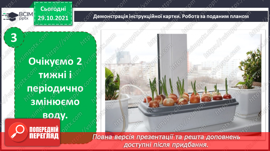 №11 - Що потрібно мандрівникам? Вирощування рослин методом гідропоніки. Створення домашньої «фабрики» вітамінів16