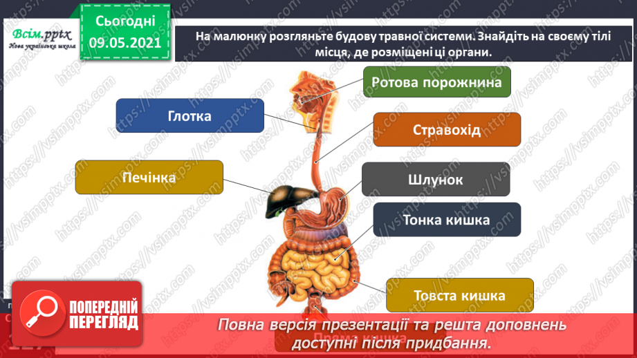 №088 - Які органи допомагають людині перетравлювати їжу?7