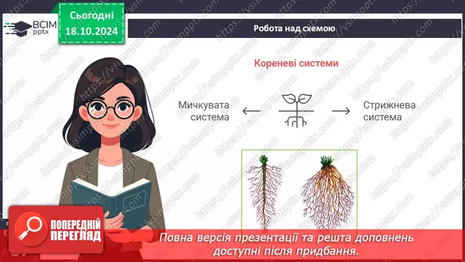 №25 - Вегетативні органи вищих рослин.10 №25 - Вегетативні органи вищих рослин.10