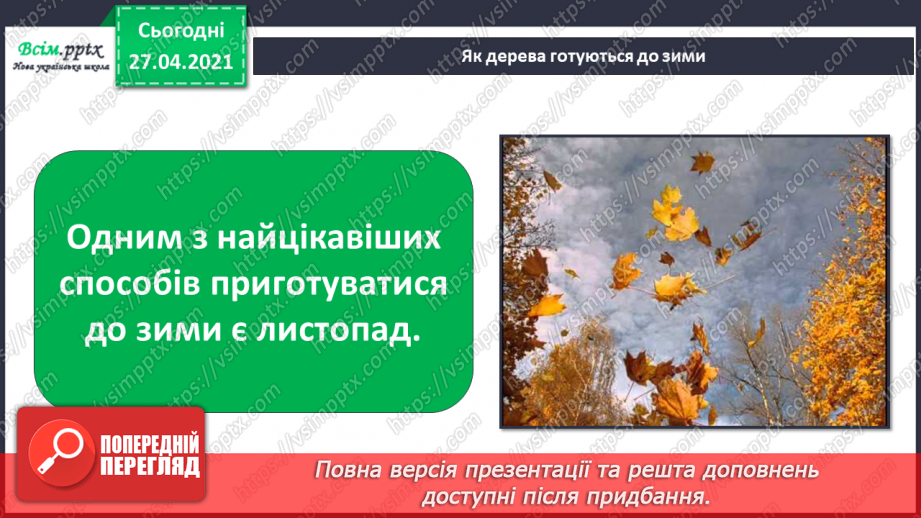 №032 - Як рослини готуються до зими5