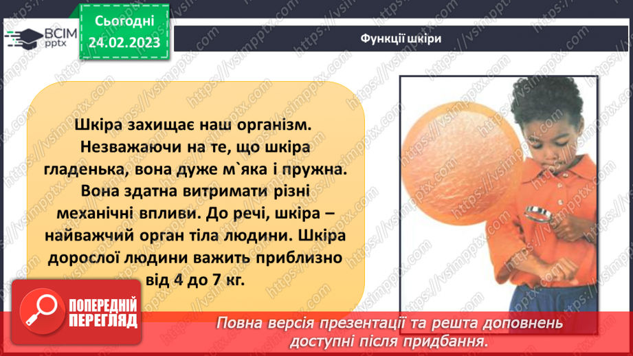 №50 - Із чого складається організм людини. Клітини, внутрішні органи та шкіра.19