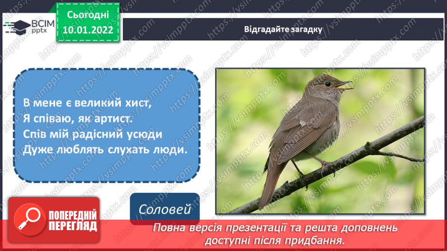 №18 - Основні поняття: художникдекоратор, театральна декорація, рельєф13