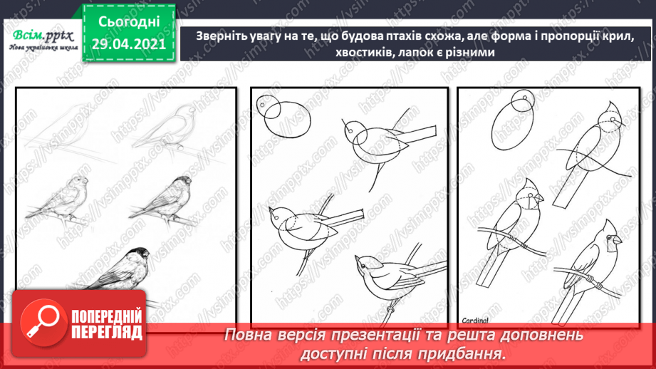 №10 - Пташині турботи. Створення композиції «Пташине життя взимку» (матеріали за вибором)15