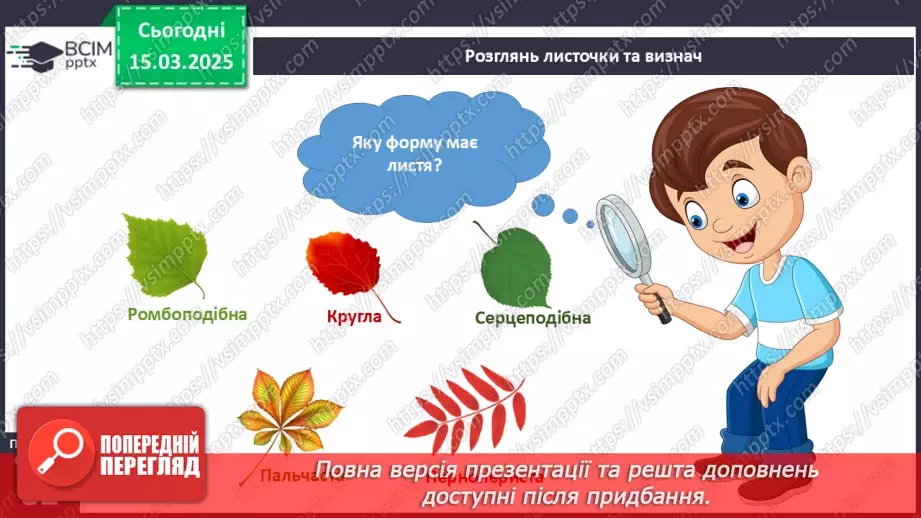 №080 - Будова рослин. Форма листя.20 №080 - Будова рослин. Форма листя.20