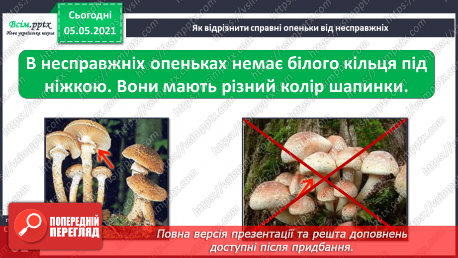 №038 - Їстівні й отруйні гриби14 №038 - Їстівні й отруйні гриби14