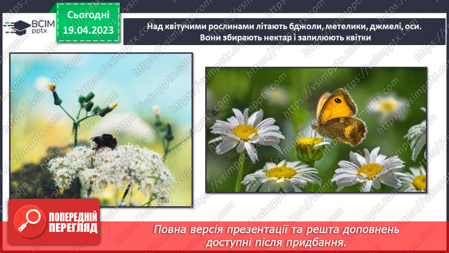 №33 - На лужку. Робота з папером. Виготовлення сюжетної аплікації за зразком.7 №33 - На лужку. Робота з папером. Виготовлення сюжетної аплікації за зразком.7