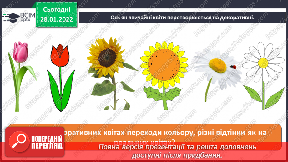 №021 - Декоративне зображення. СМ: М.Приймаченко «Квіти», А.Коттерілл «Рожеві тюльпани».11