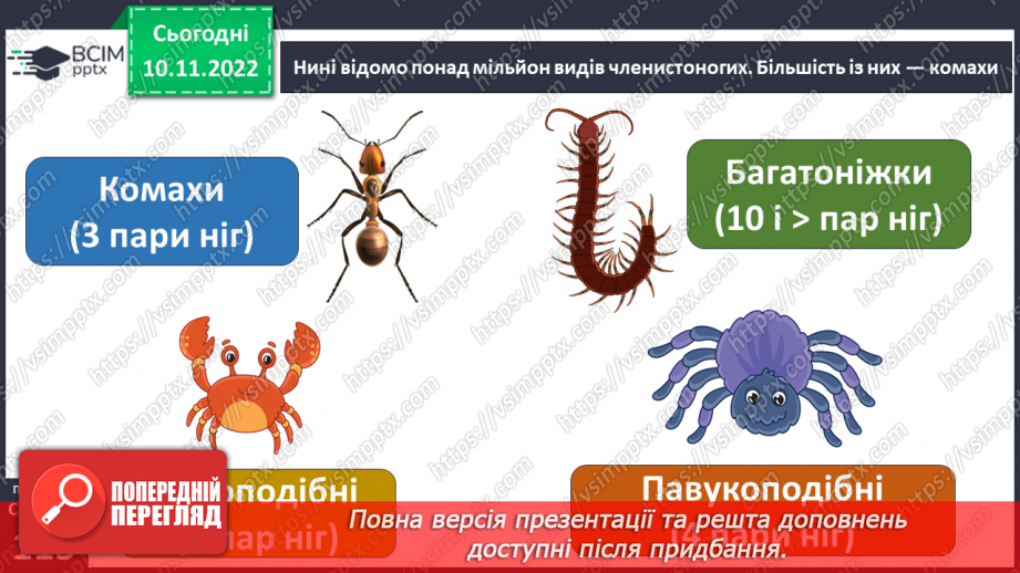 №039 - Членистоногі та молюски. Черви, жалкі, голкошкірі та губки.6