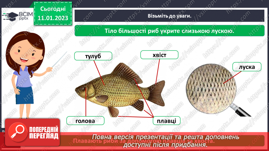 №0056 - Риби6 №0056 - Риби6