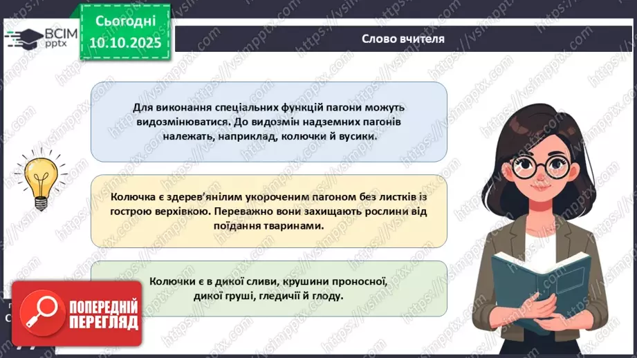 №023 - Покритонасінні рослини: будова бруньки, пагона й листка (продовження).5 №023 - Покритонасінні рослини: будова бруньки, пагона й листка (продовження).5
