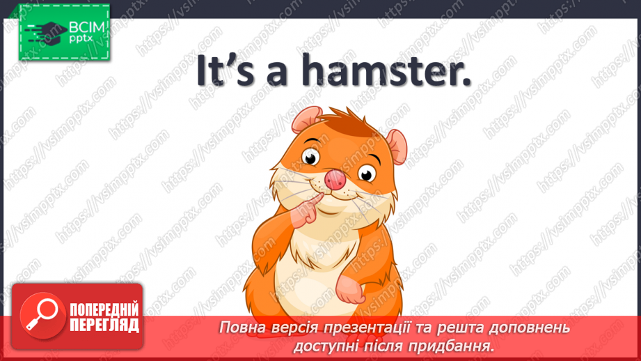 №33 - My pets12