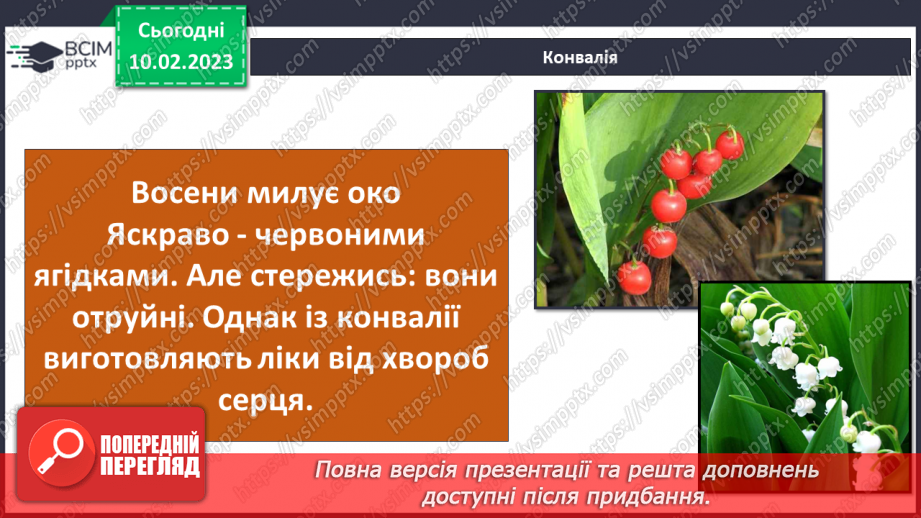 №45 - Пристосування до життя та різноманітність рослин. Секрети насінини.31