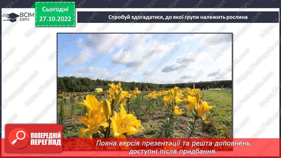 №031 - Класифікація рослин.14 №031 - Класифікація рослин.14