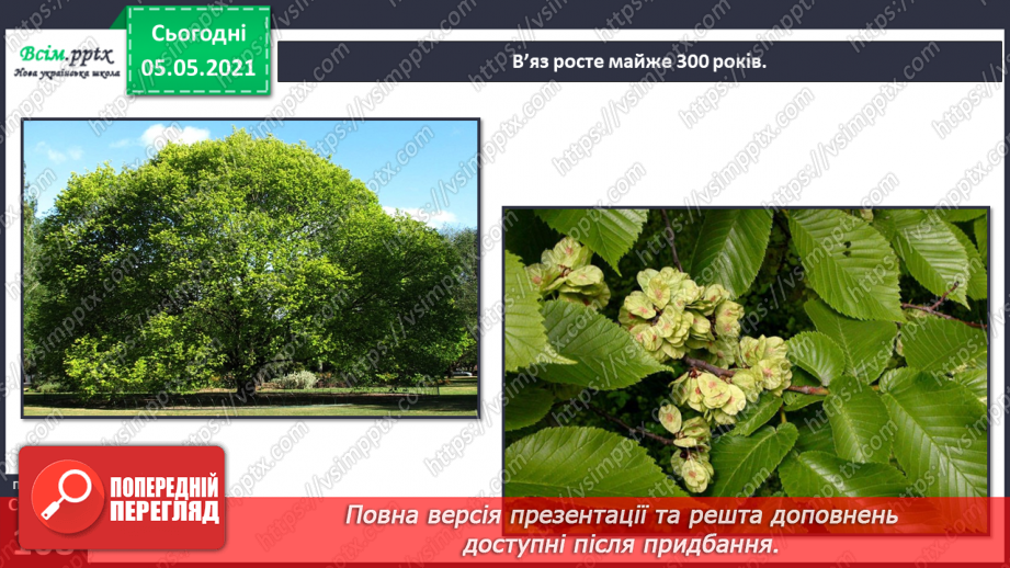 №092 - Оберігаю ліс, плекаю його красу.11