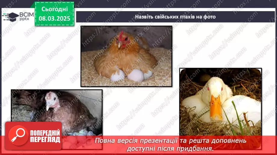 №0076 - Чому птахи в’ють гнізда30 №0076 - Чому птахи в’ють гнізда30