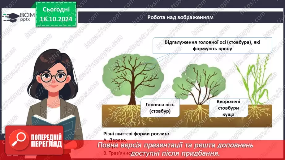 №25 - Як вищі рослини пристосовуються до умов існування?19