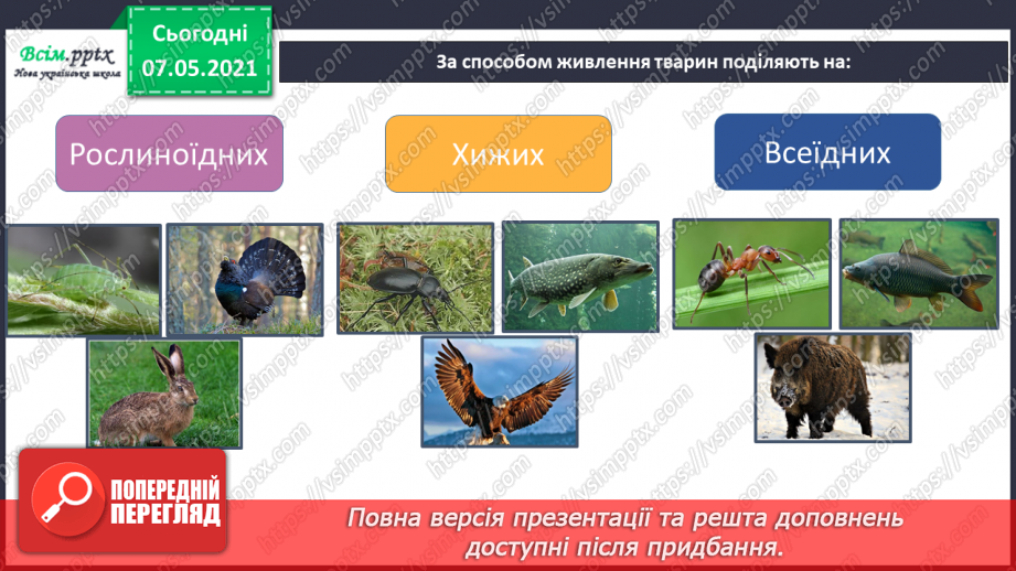 №048 - Узагальнення і систематизація знань учнів. Діагностична робота з тем «Різноманітність рослин і тварин». Підсумок за семестр.17