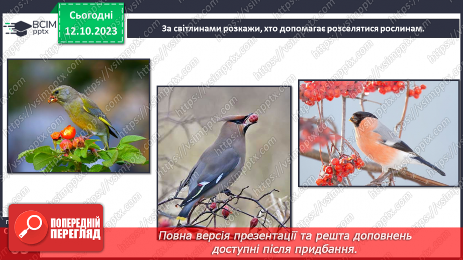 №022 - Плоди і насіння рослин10 №022 - Плоди і насіння рослин10