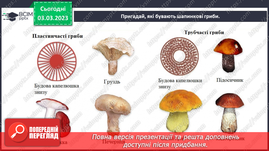 №51 - Узагальнення розділу «Клітини, бактерії, віруси, гриби, рослини і тварини».24