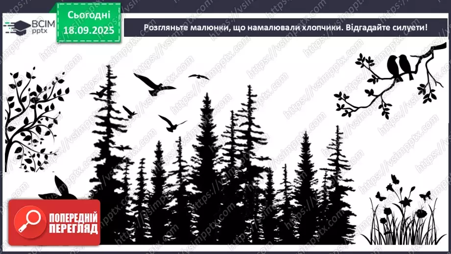 №05 - Основні поняття: силует СМ: методична таблиця на розпізнавання силуетів (фото шести квіток і силуети чотирьох квіток)8 №05 - Основні поняття: силует СМ: методична таблиця на розпізнавання силуетів (фото шести квіток і силуети чотирьох квіток)8