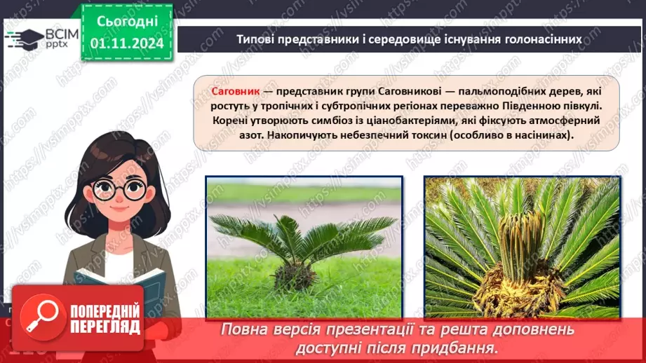 №31 - Насінні рослини та їх значення. Голонасінні.10 №31 - Насінні рослини та їх значення. Голонасінні.10
