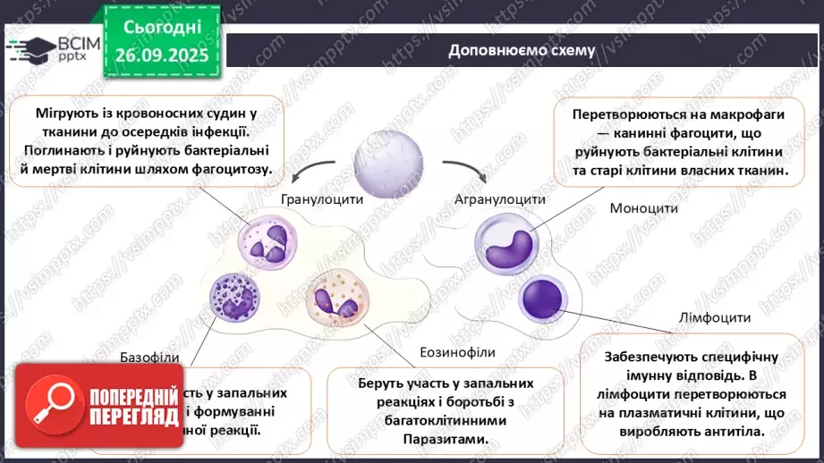 №017 - Узагальнення вивченого з теми: «Обмін речовин і перетворення енергії як властивість живого. Транспорт речовин в організмі людини».15 №017 - Узагальнення вивченого з теми: «Обмін речовин і перетворення енергії як властивість живого. Транспорт речовин в організмі людини».15