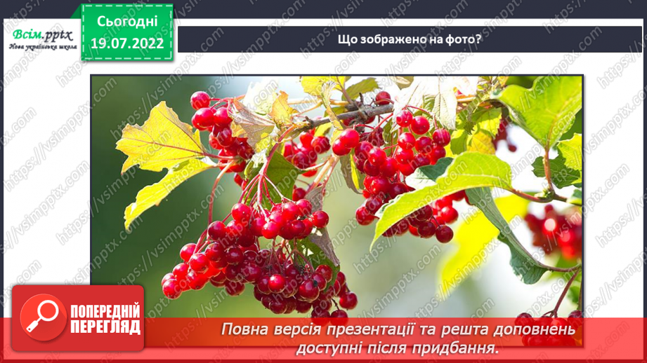 №02 - Папір та його призначення. Властивості паперу. Аплікація із рваних частин паперу. Створення аплікації «Кетяги калини».7