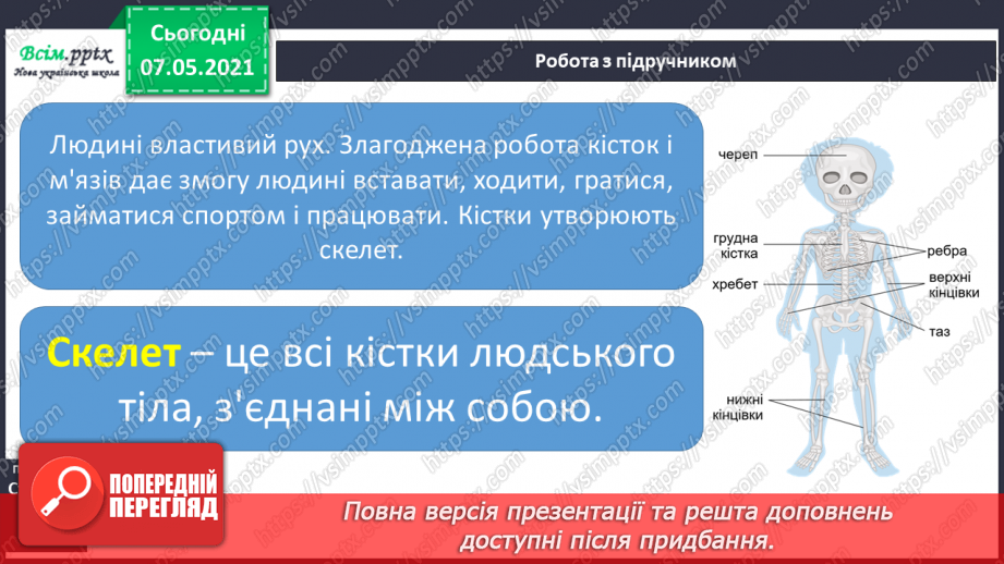 №052 - Що утворює опорно-рухову систему5 №052 - Що утворює опорно-рухову систему5