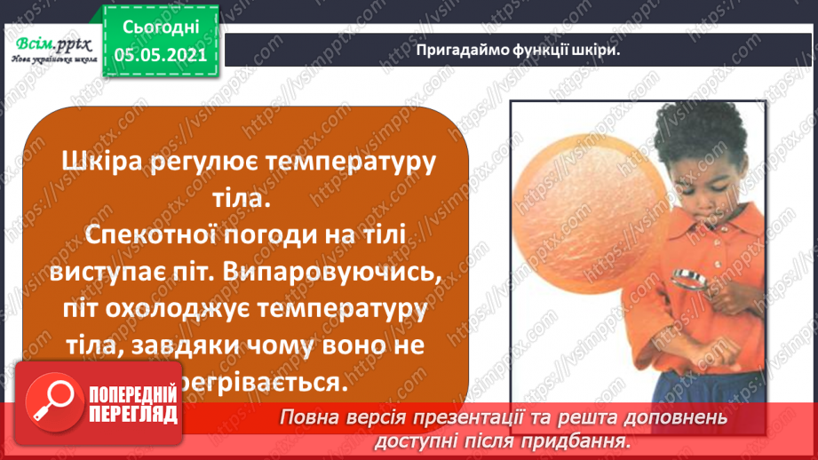 №087 - Орган дотику.14