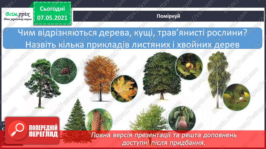 №036 - Які бувають рослини4 №036 - Які бувають рослини4