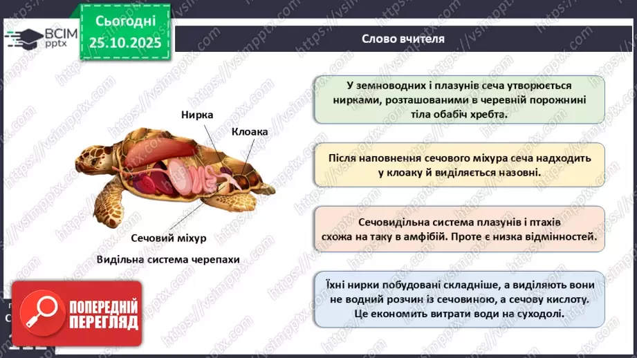 №028 - Виділення як властивість живого. Еволюція видільної системи тварин.20 №028 - Виділення як властивість живого. Еволюція видільної системи тварин.20