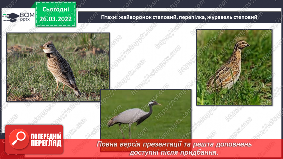 №080 - Лісостеп. Степ16 №080 - Лісостеп. Степ16