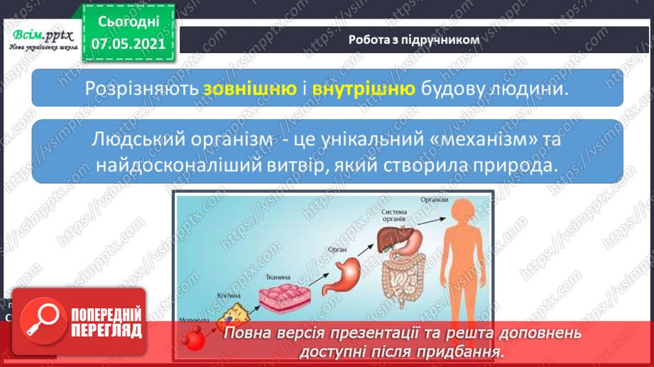 №049 - Яку будову має наше тіло12 №049 - Яку будову має наше тіло12