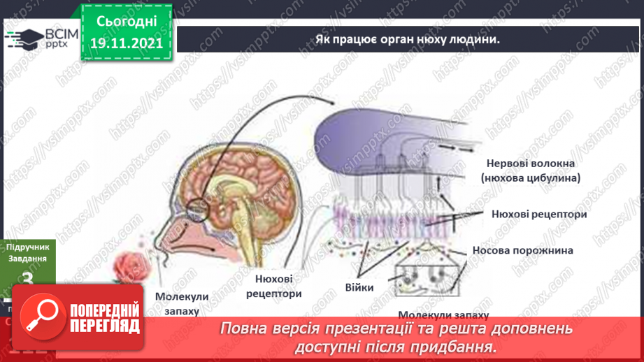 №039 - Як я сприймаю інформацію ззовні? Готуємо проект. Створюємо комікси.15 №039 - Як я сприймаю інформацію ззовні? Готуємо проект. Створюємо комікси.15