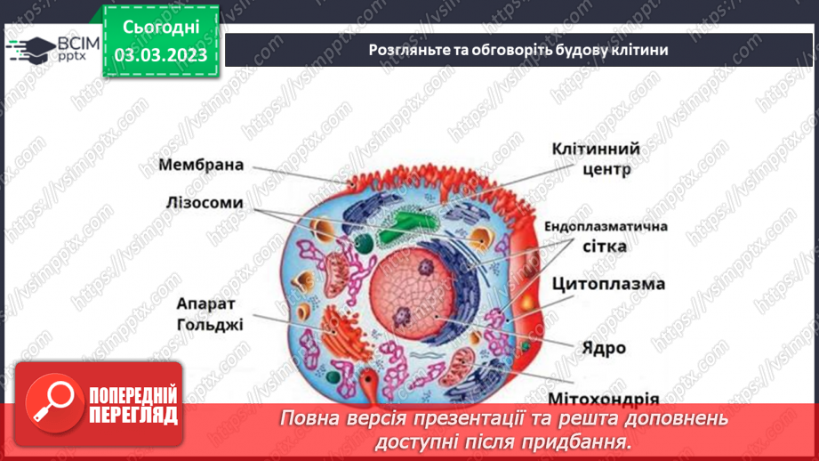 №51 - Узагальнення розділу «Клітини, бактерії, віруси, гриби, рослини і тварини».6
