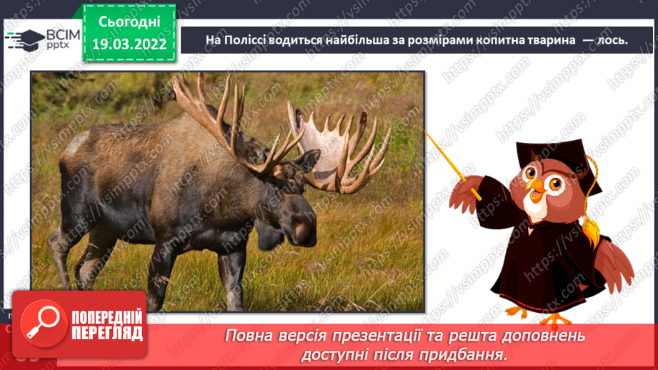 №078 - Природні зони України. Мішані та широколисті ліси.27 №078 - Природні зони України. Мішані та широколисті ліси.27