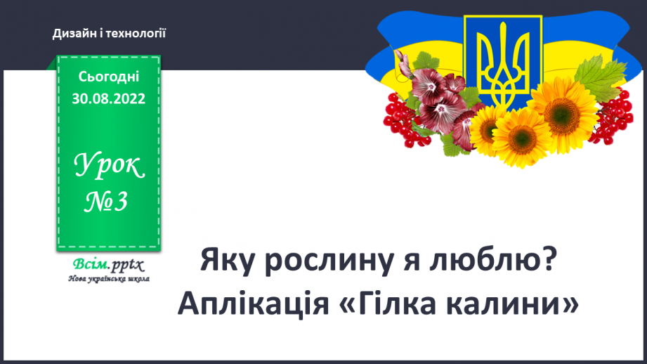 №003 - Яку рослину я люблю? Аплікація «Гілка калини»0