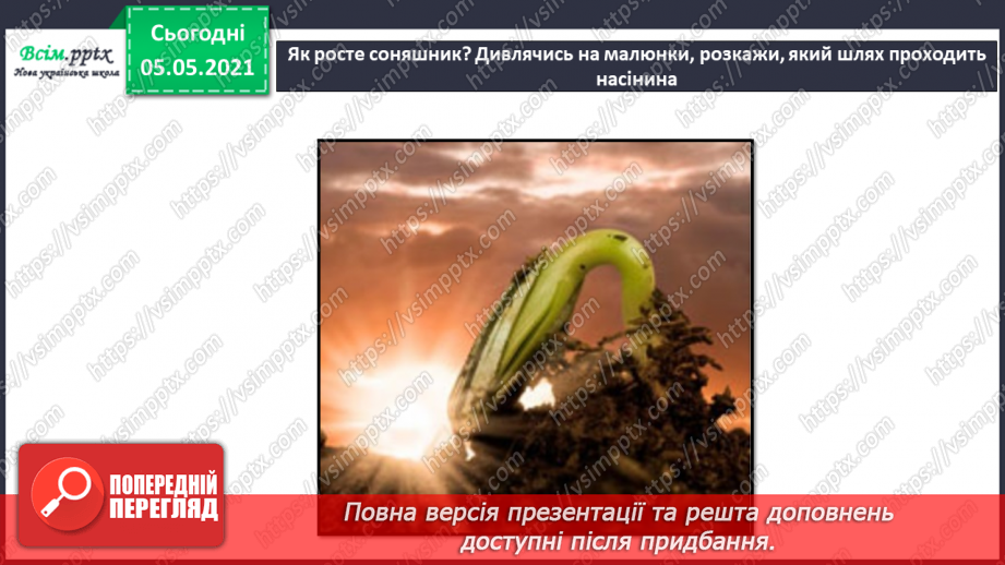 №035 - Сторінка дослідників. Як виростити нову рослину. Умови проростання насіння20 №035 - Сторінка дослідників. Як виростити нову рослину. Умови проростання насіння20