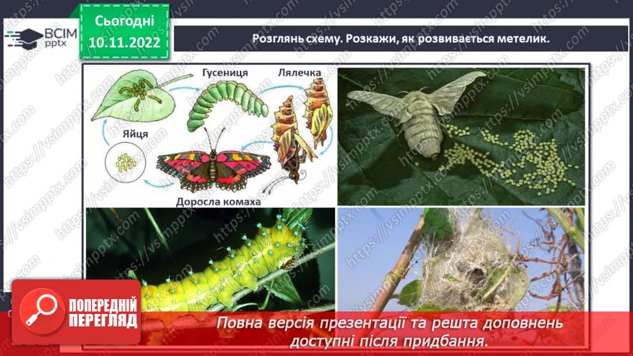 №037 - Як класифікують тварин. Властивості ссавців і птахів.9 №037 - Як класифікують тварин. Властивості ссавців і птахів.9
