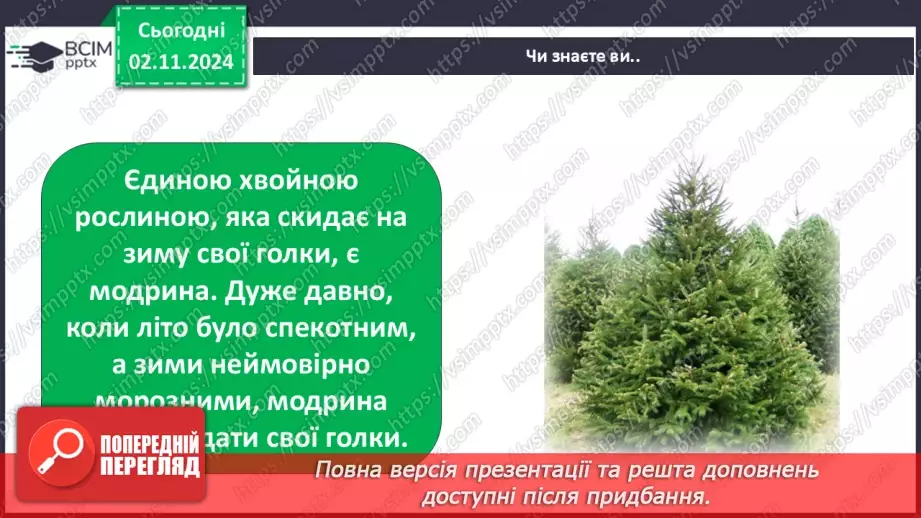 №0032 - Як рослини готуються до зими26 №0032 - Як рослини готуються до зими26