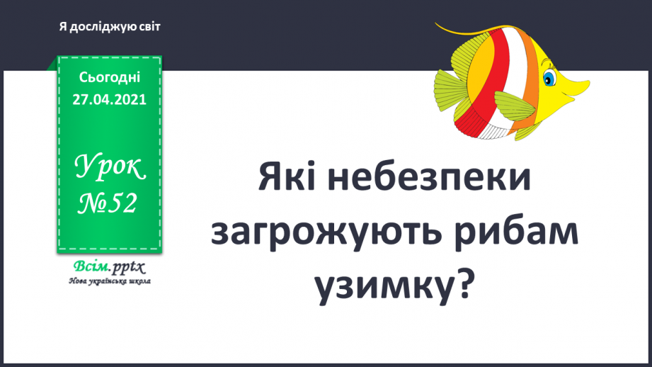 №052 - Які небезпеки загрожують рибам узимку?0