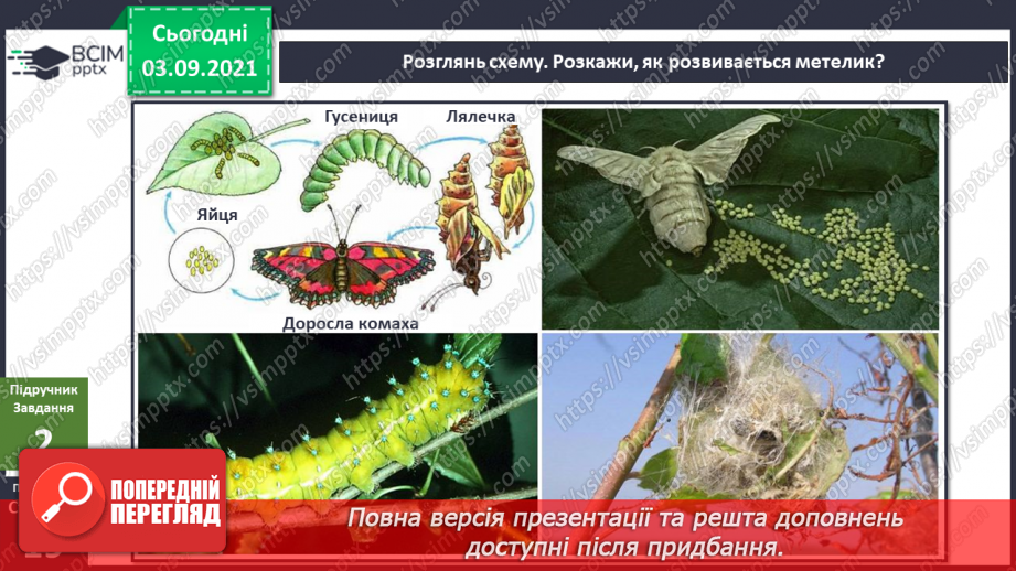 №008 - Як змінюються істоти та люди впродовж життя?8