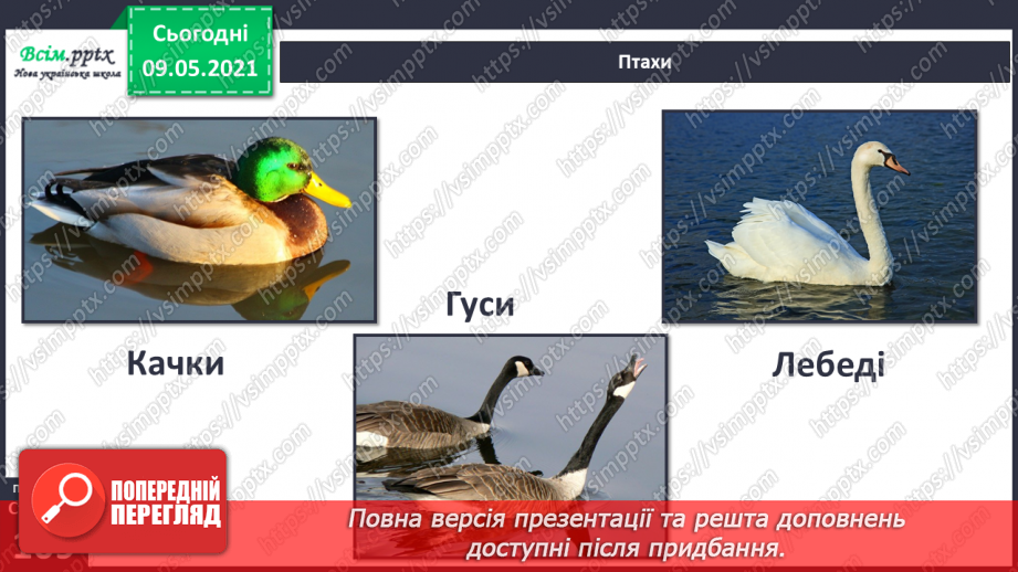 №074-75 - Які тварини живуть на луках, у степах і водоймах?30