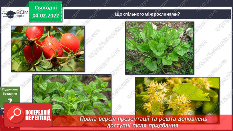 №064-65 - У чому сила подорожника? Комікс: «Що таке справедливість?»6