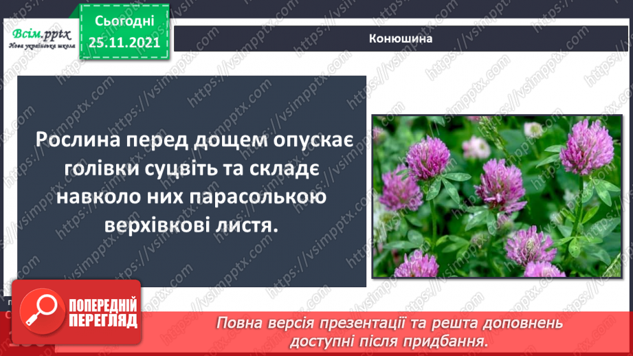 №099 - Які трав’янисті рослини називають «синоптиками», а які — «годинниками»?8