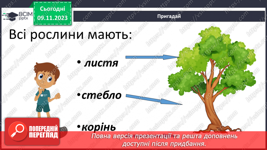 №035 - Які бувають рослини? Де вони ростуть?7 №035 - Які бувають рослини? Де вони ростуть?7