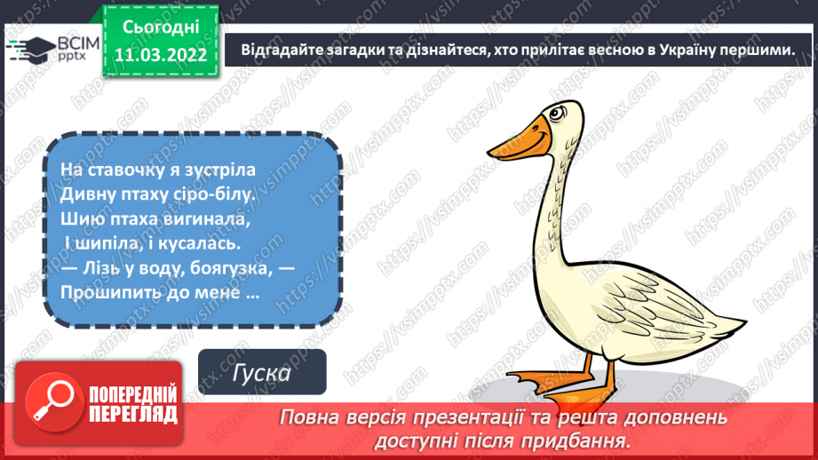 №25 - Основні поняття: художники- анімалісти, форма птаха9